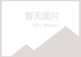 大新县迎夏服务有限公司